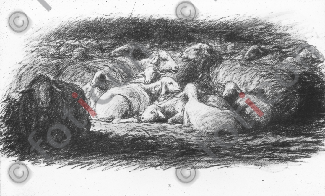 Gleichnis vom guten Hirten | Parable of the Good Shepherd - Foto foticon-simon-132023-sw.jpg | foticon.de - Bilddatenbank für Motive aus Geschichte und Kultur